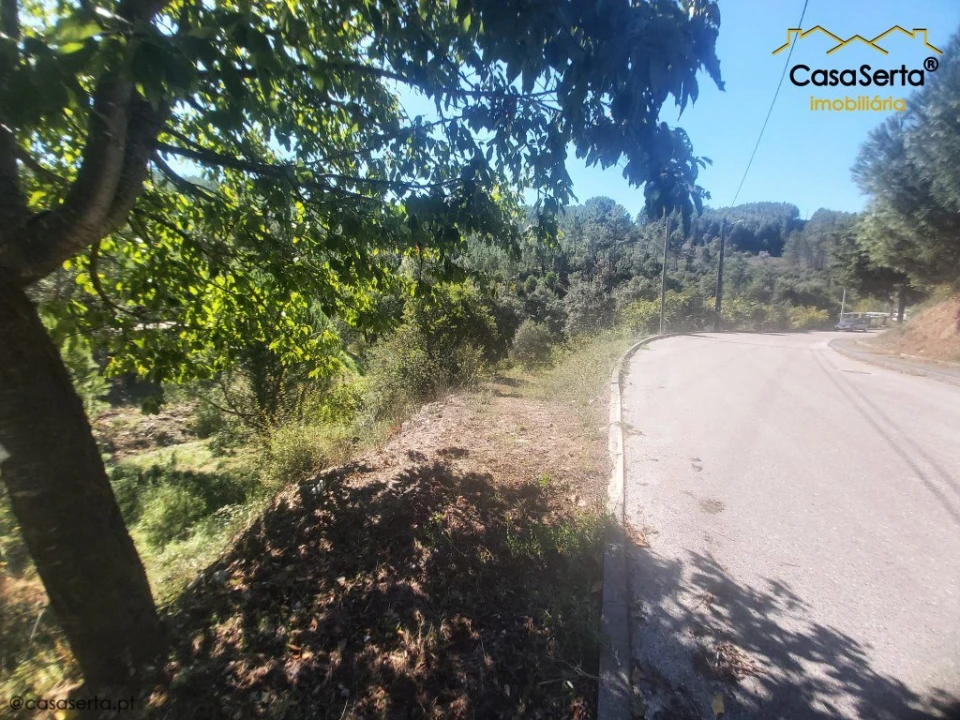 Terreno para Venda em Sertã Foto 2