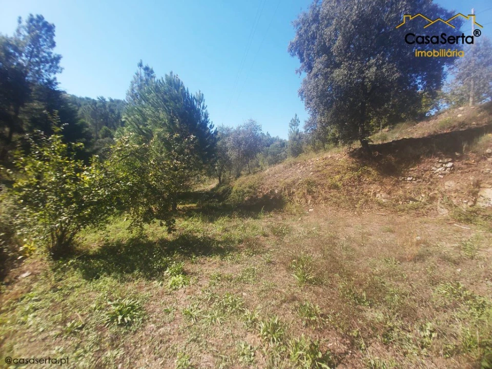 Terreno para Venda em Sertã Foto 8