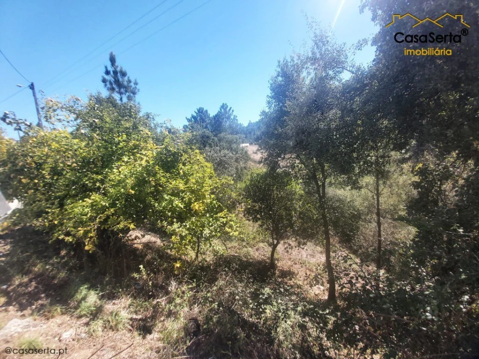 Terreno para Venda em Sertã Foto 5