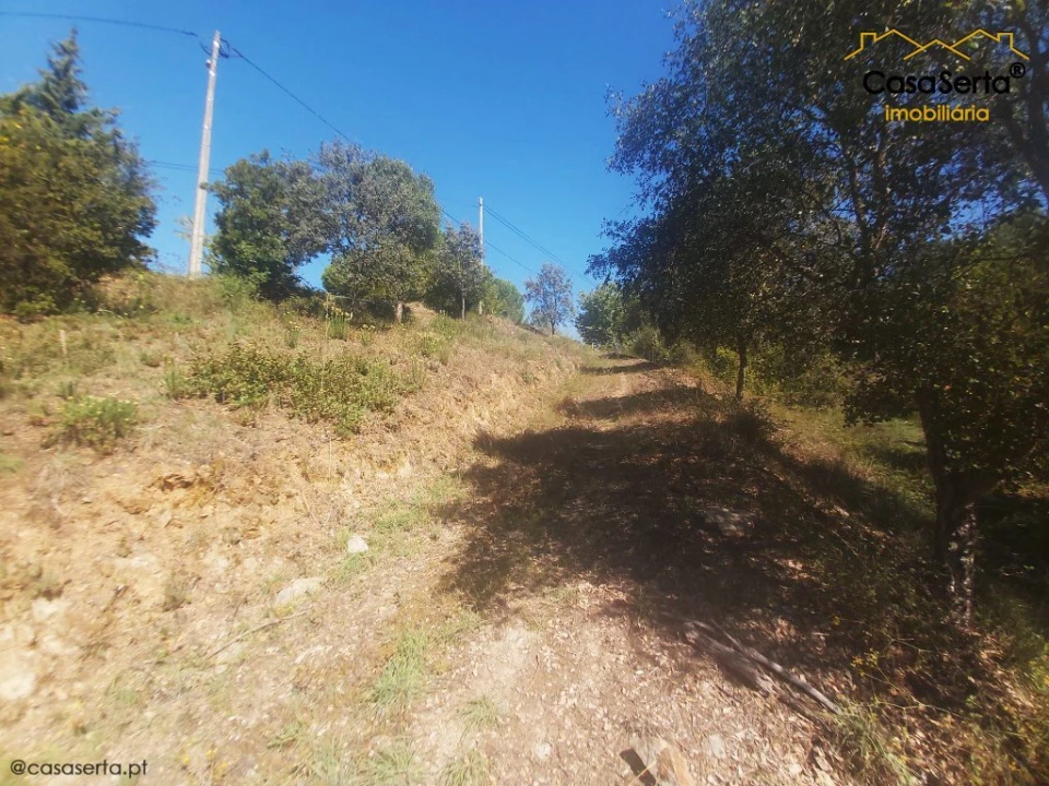Terreno para Venda em Sertã Foto 9