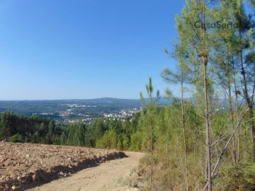 Terreno para Venda em Sertã