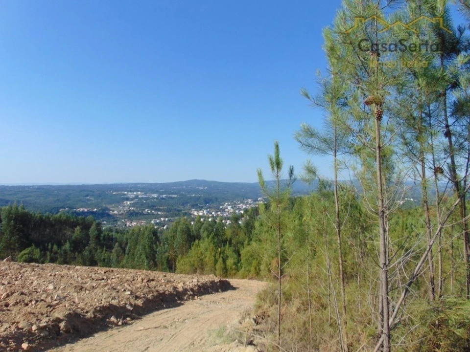 Terreno para Venda em Sertã Foto 2