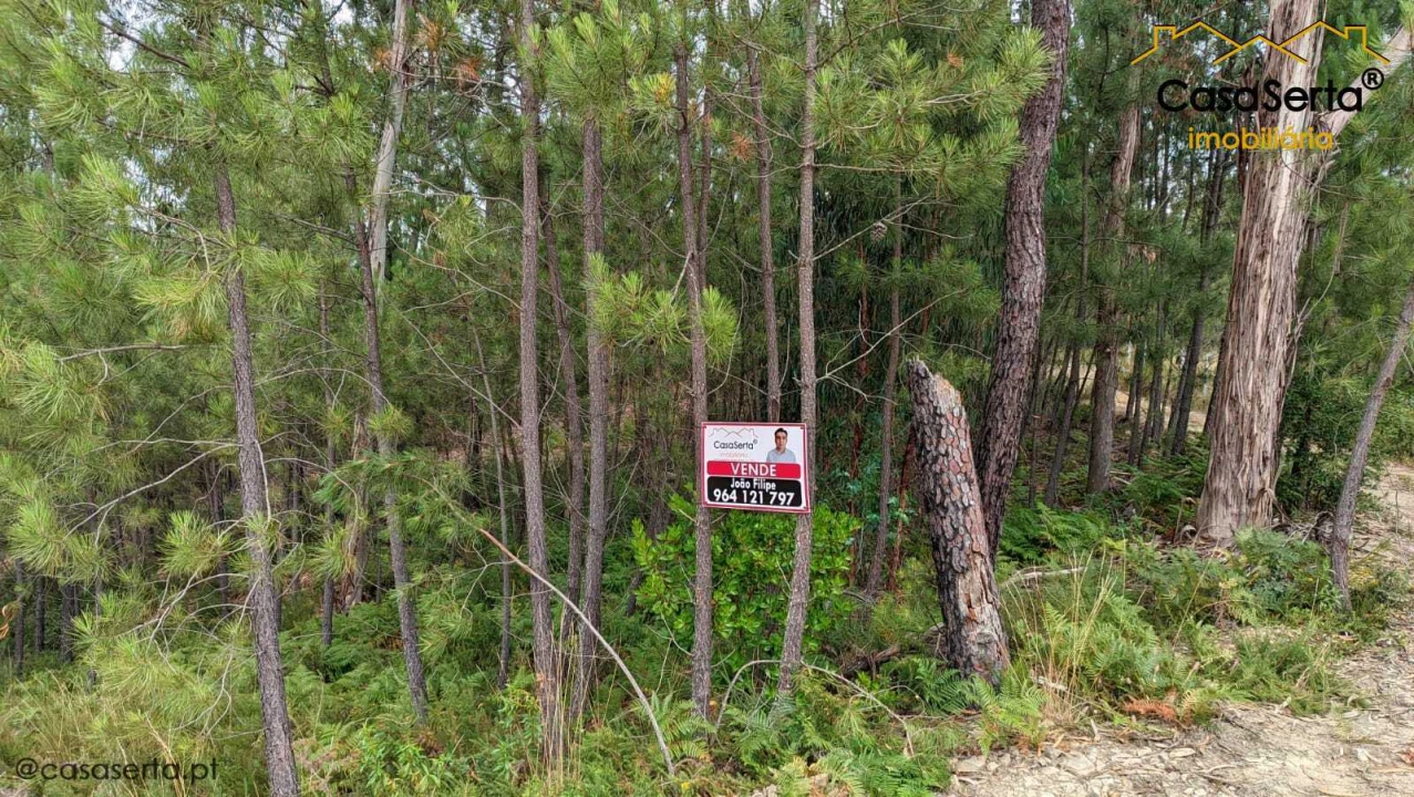 Terreno para Venda em Sertã Foto 4