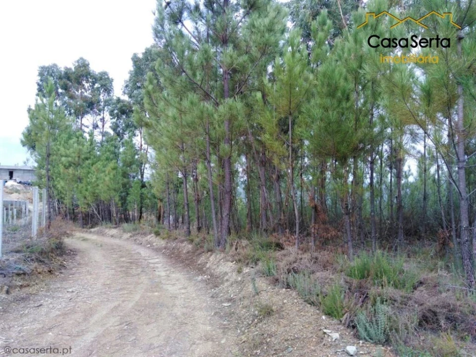 Terreno para Venda em Sertã Foto 1