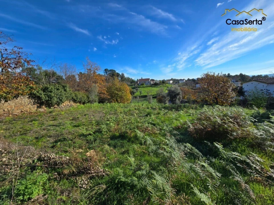Terreno para Venda em Cernache do Bonjardim, Nesperal e Palhais Foto 6