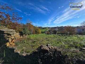 Terreno para Venda em Cernache do Bonjardim, Nesperal e Palhais