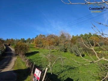 Terreno para Venda em Cernache do Bonjardim, Nesperal e Palhais