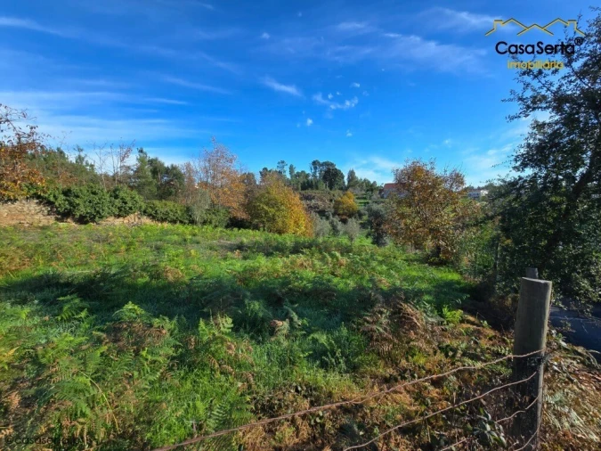 Terreno para Venda em Cernache do Bonjardim, Nesperal e Palhais Foto 4