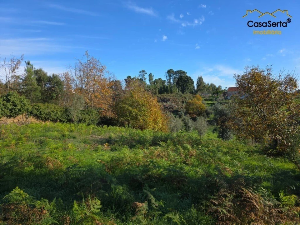 Terreno para Venda em Cernache do Bonjardim, Nesperal e Palhais Foto 7