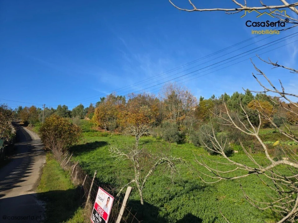 Terreno para Venda em Cernache do Bonjardim, Nesperal e Palhais Foto 3