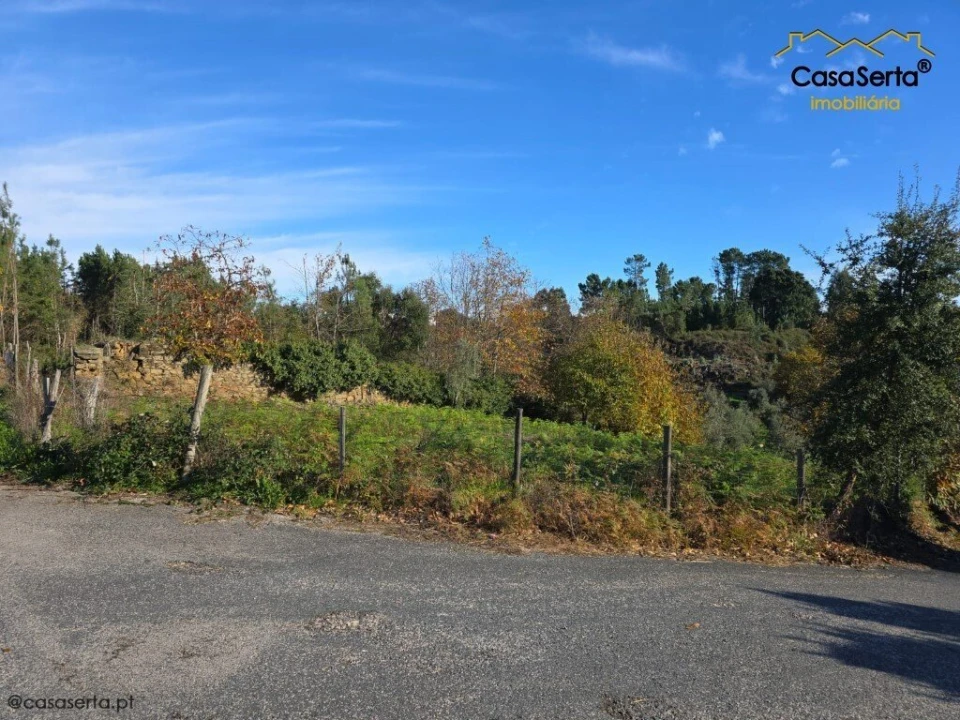 Terreno para Venda em Cernache do Bonjardim, Nesperal e Palhais Foto 2