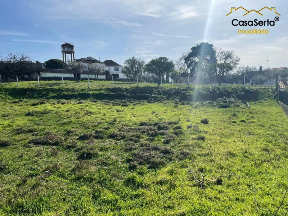 Terreno para Venda em Cernache do Bonjardim, Nesperal e Palhais Foto 4