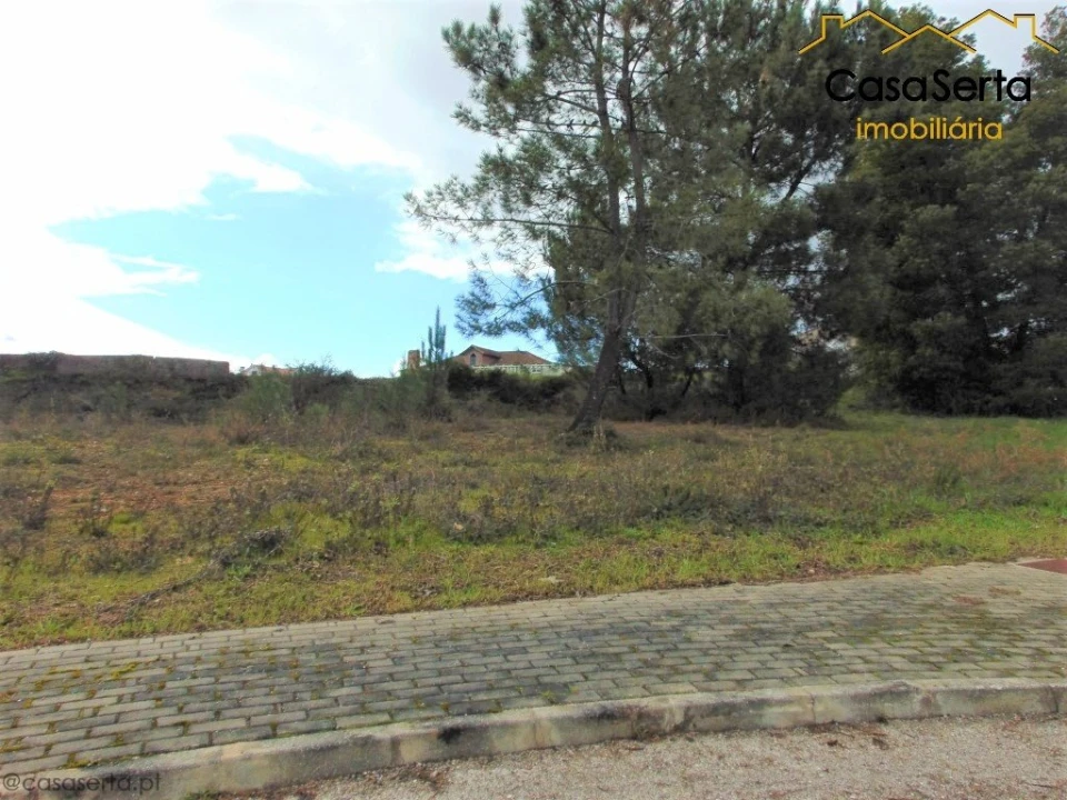 Terreno para Venda em Cernache do Bonjardim, Nesperal e Palhais Foto 5