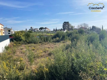 Terreno para Venda em Cernache do Bonjardim, Nesperal e Palhais