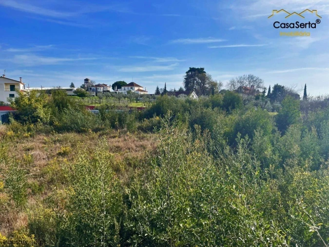 Terreno para Venda em Cernache do Bonjardim, Nesperal e Palhais Foto 3