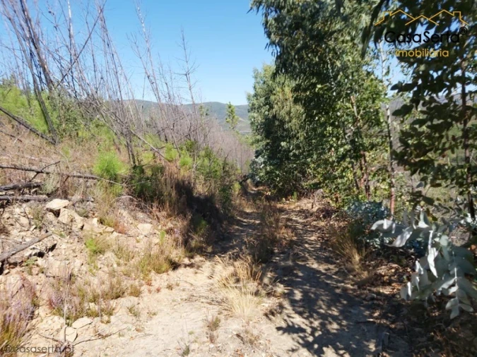 Terreno para Venda em Mosteiro Foto 2