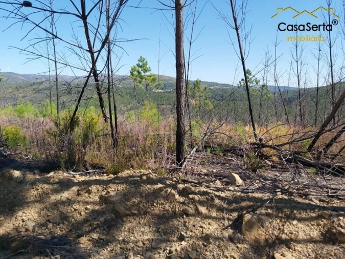 Terreno para Venda em Mosteiro Foto 8