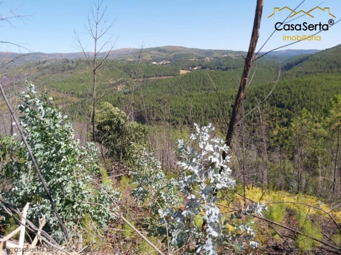Terreno para Venda em Mosteiro