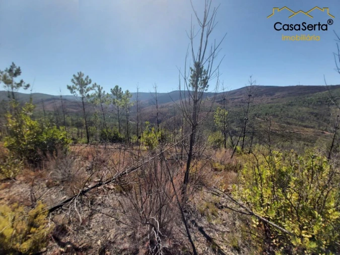 Terreno para Venda em Mosteiro Foto 9