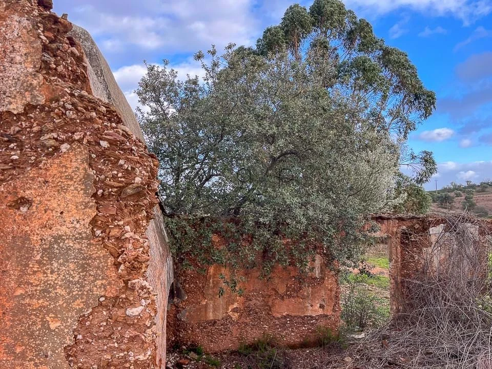 Terreno para Venda em Portel Foto 27