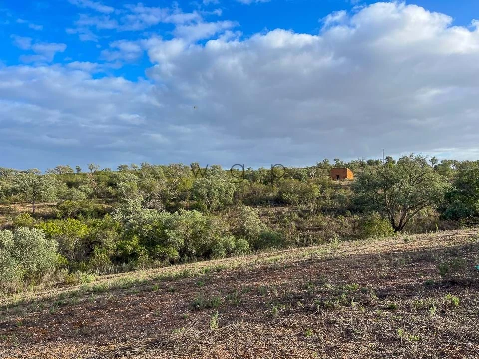 Terreno para Venda em Portel Foto 16