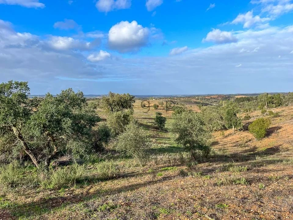 Terreno para Venda em Portel Foto 13