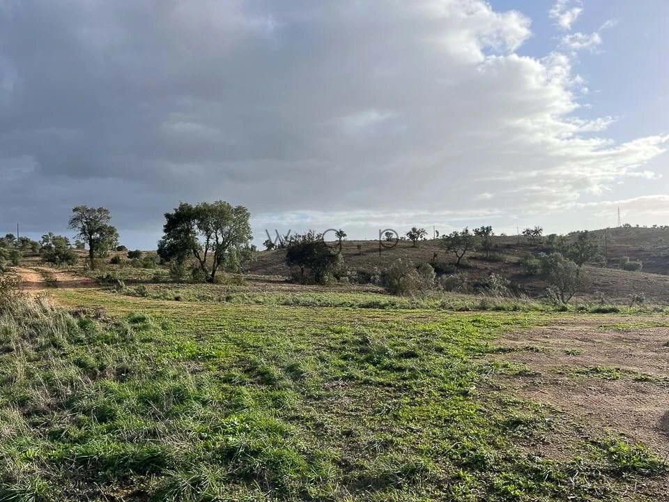 Terreno para Venda em Portel Foto 9
