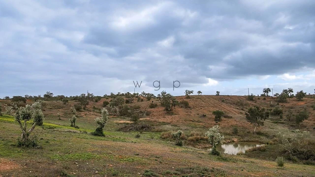 Terreno para Venda em Portel Foto 5