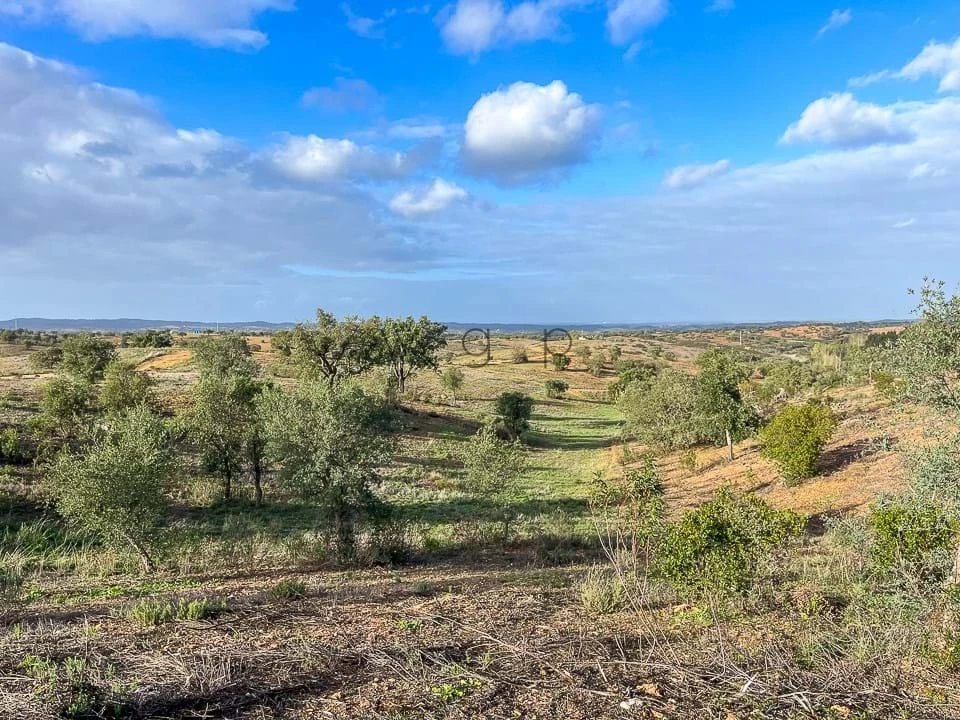 Terreno para Venda em Portel Foto 14