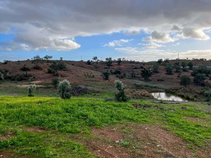 Terreno para Venda em Portel Foto 32