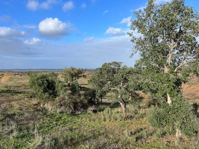 Terreno para Venda em Portel Foto 12