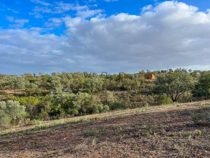 Terreno para Venda em Portel Foto 16