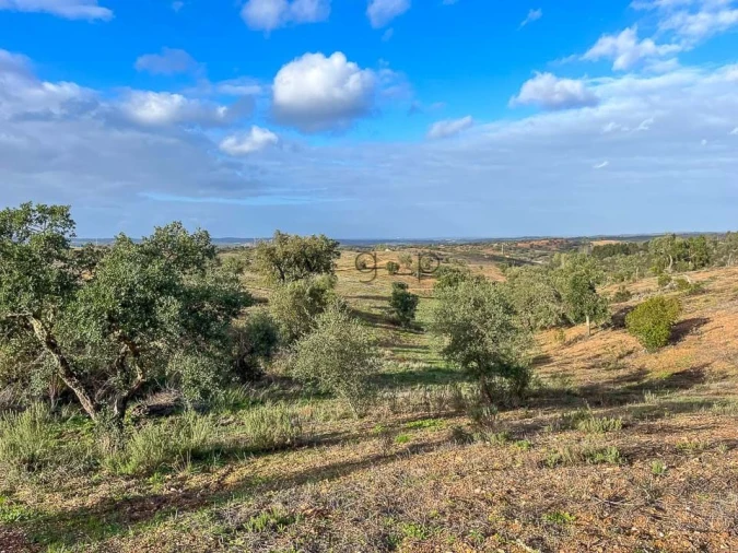 Terreno para Venda em Portel Foto 13