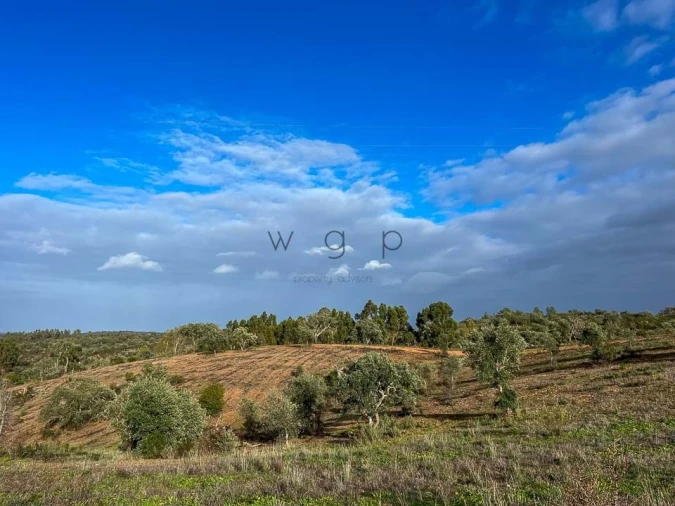 Terreno para Venda em Portel Foto 8