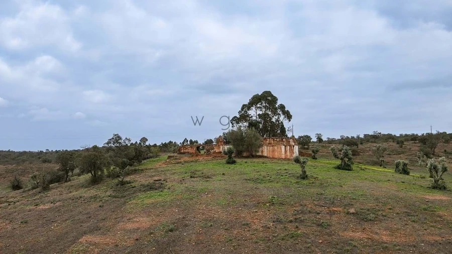 Terreno para Venda em Portel Foto 4
