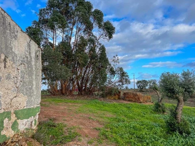 Terreno para Venda em Portel Foto 33