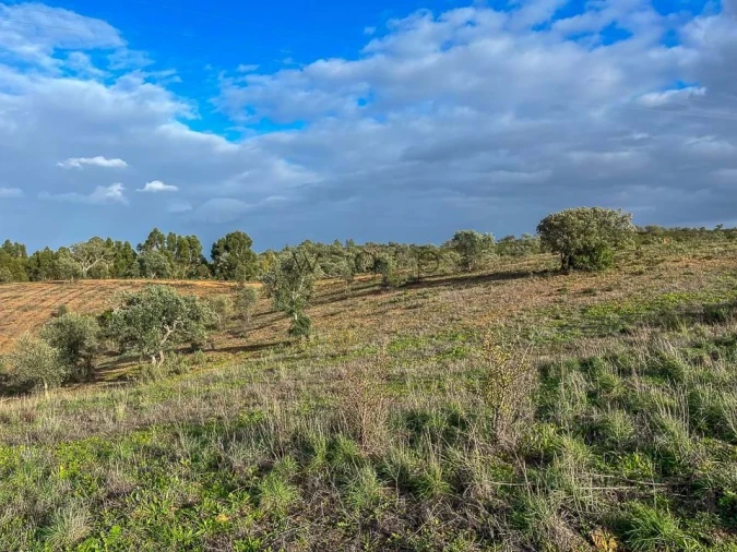 Terreno para Venda em Portel Foto 7