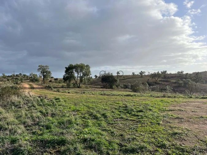 Terreno para Venda em Portel Foto 10