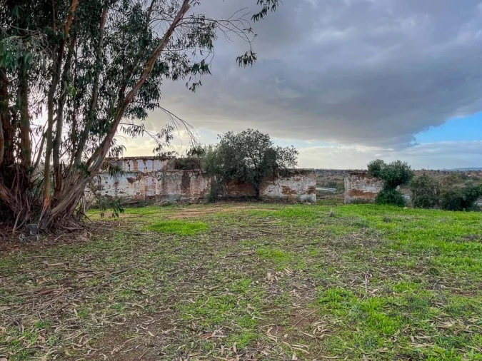 Terreno para Venda em Portel Foto 19