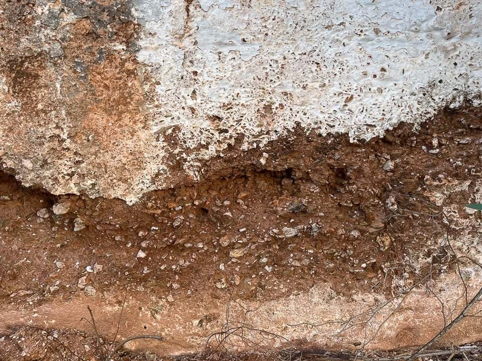 Terreno para Venda em Portel Foto 29