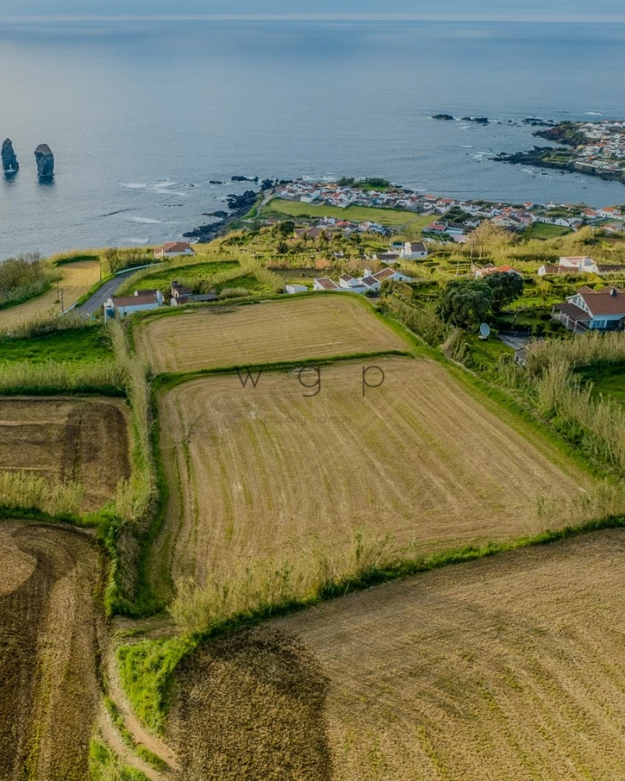 Terreno para Venda em Mosteiros Foto 5