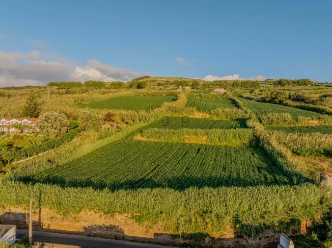 Terreno para Venda em Mosteiros Foto 12