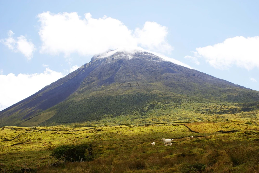 Terreno para Venda em Criação Velha Foto 11