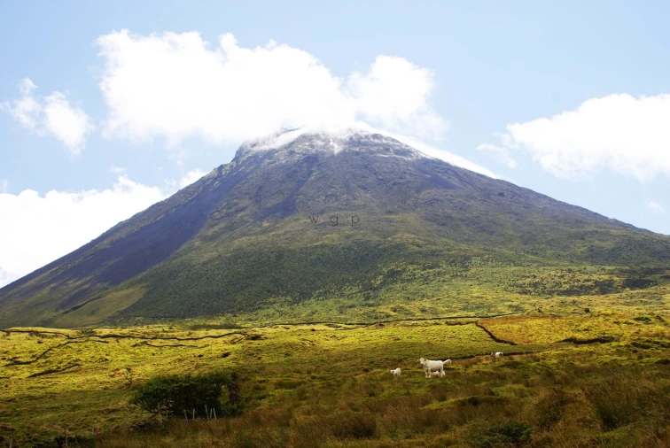 Terreno para Venda em Criação Velha Foto 11