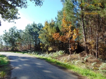 Terreno para Venda em Sertã