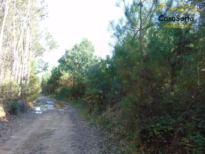 Terreno para Venda em Sertã Foto 9