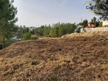 Terreno para Venda em Sertã