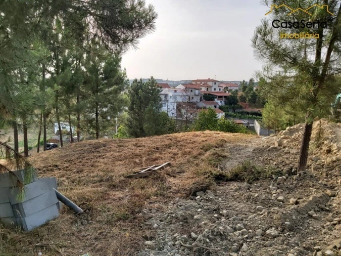 Terreno para Venda em Sertã Foto 3