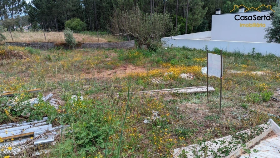 Terreno para Venda em Sertã Foto 3