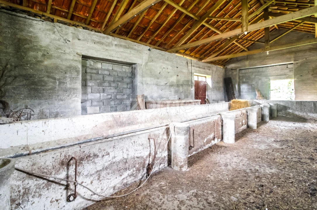 Quinta T4 para Venda em Salto Foto 32